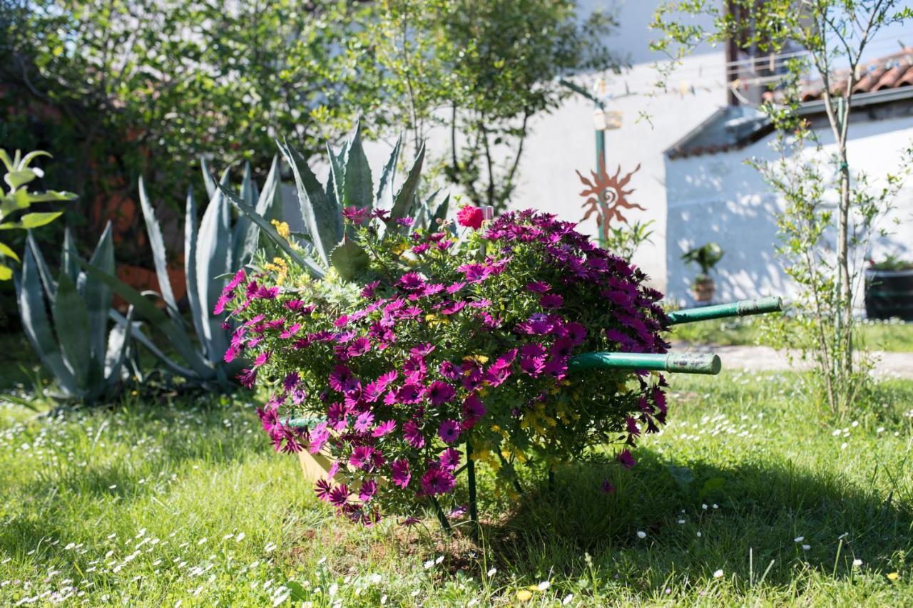 Apartmán Mirjana *